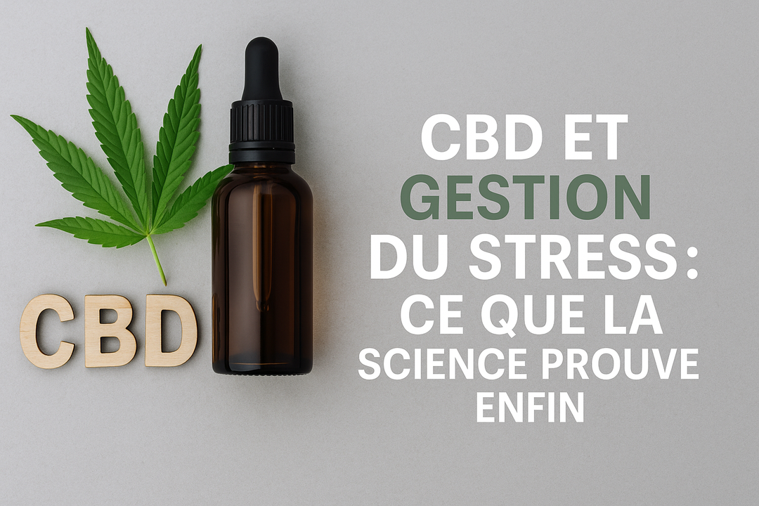 CBD et gestion du stress : ce que dit vraiment la science